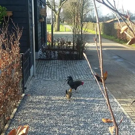 Gasthuis Gastenverblijf Houtse Pad Den Hout