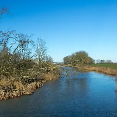 Gastenverblijf Houtse Pad Den Hout